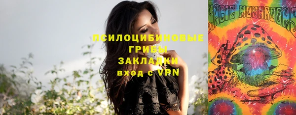 МДПВ Арсеньев