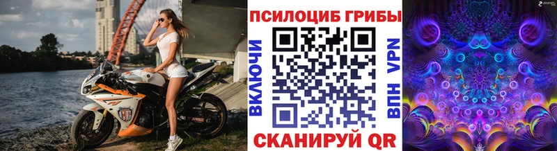 ОМГ ОМГ как войти  Инза  Галлюциногенные грибы Cubensis 